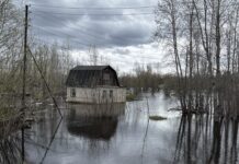 В Югре прогнозируют подъем воды в Оби, Иртыше и Северной Сосьве: под угрозой 48 населенных пунктов