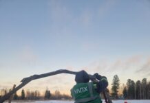 Заместитель директора лесопаркового хозяйства Нижневартовска попал под уголовное дело за «работу на семью»