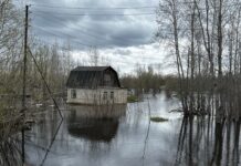 Уровень Оби превысил 8 метров, под угрозой — десятки дачных кооперативов